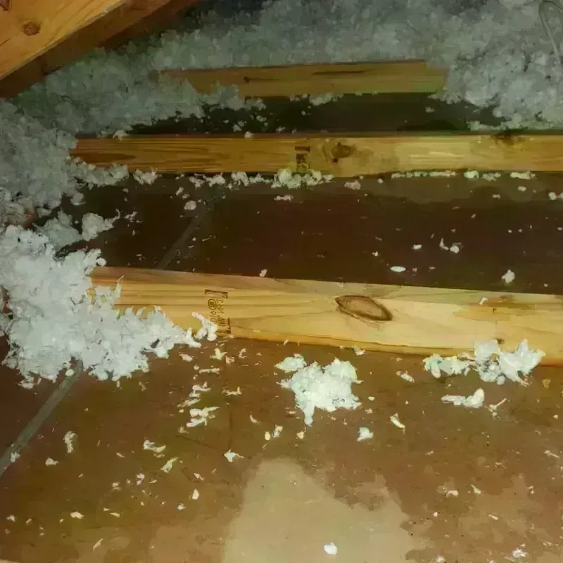 Attic Water Damage in Hamilton County, IN